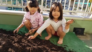 20201105_084819.jpg