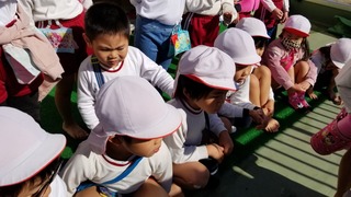 20201105_105004.jpg