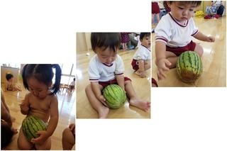 CollageMaker_20190731_162725286.jpg