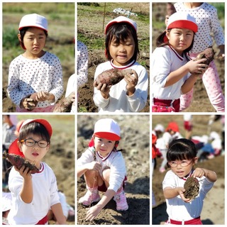 CollageMaker_20201112_133945506.jpg