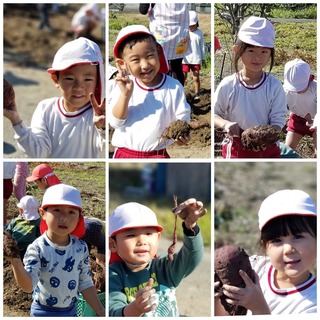 CollageMaker_20201112_134029394-d0d39.jpg