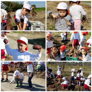 CollageMaker_20201112_134809715.jpg