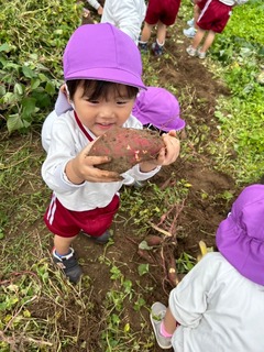 IMG_3406.jpeg